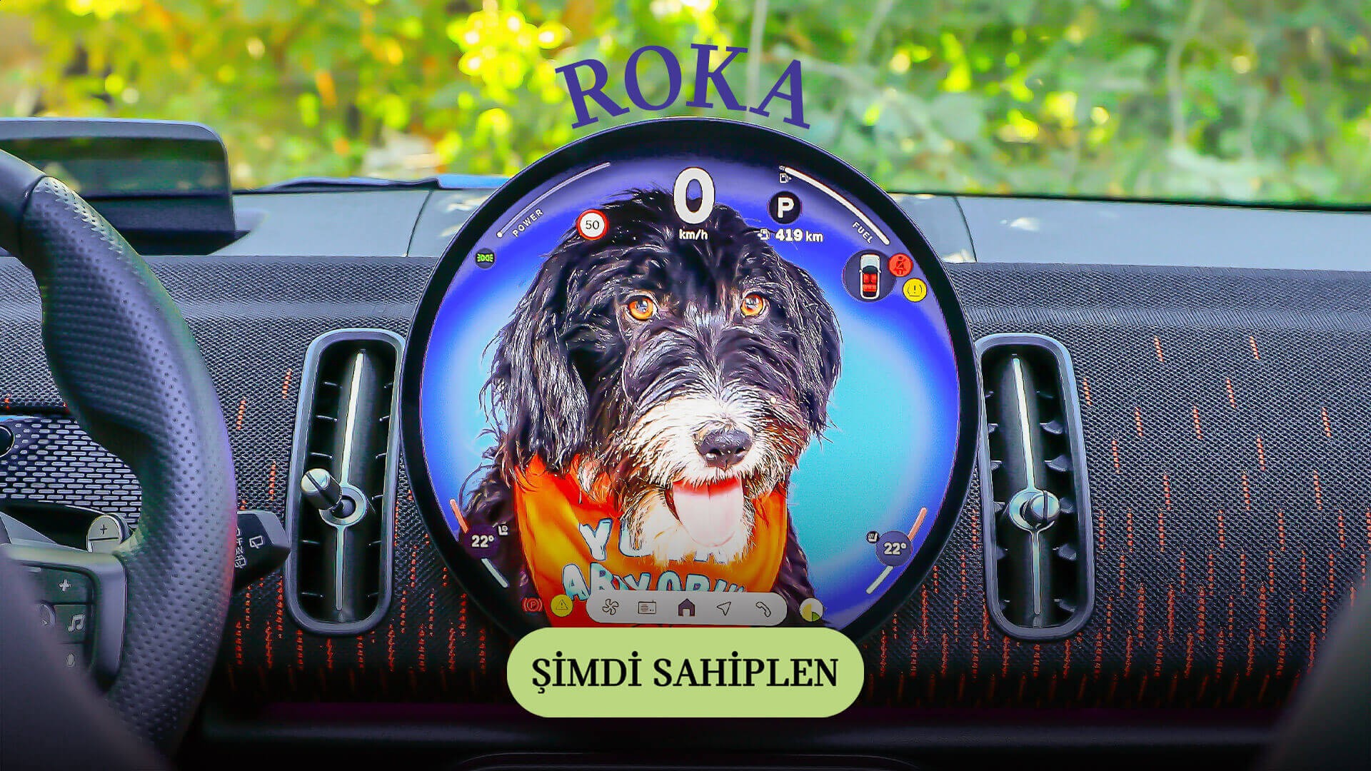 MINI Pati | MINI Türkiye